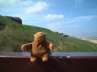 Mr Monkey on a rail, with old gun emplacements behind him
