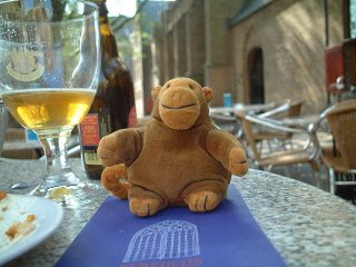 Mr Monkey on a cafe table