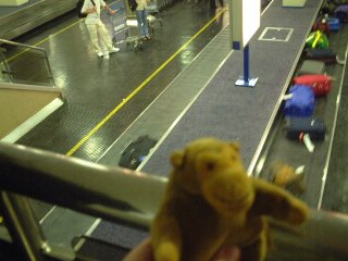 Mr Monkey reclaiming baggage at Manchester Airport