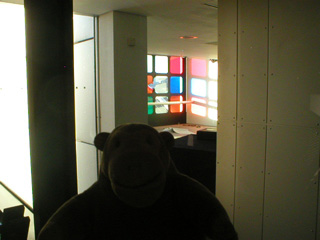 Mr Monkey looking into the Level 5 Viewing Box