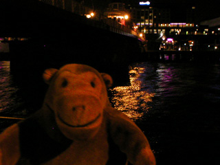 Mr Monkey looking at the Swing Bridge at night