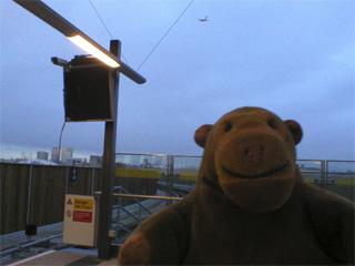 Mr Monkey watching planes from the airport station