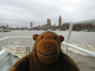 Mr Monkey looking back at the Houses of Parliament
