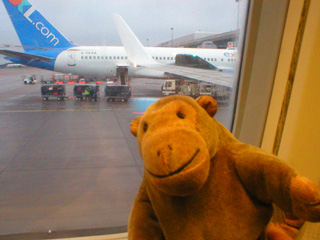 Mr Monkey looking out of a plane window before setting off