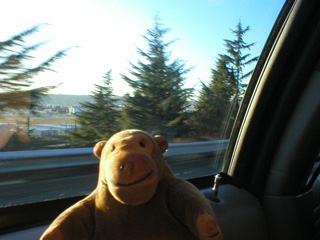 Mr Monkey looking out of the taxi on the way into Seattle