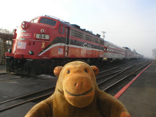 Mr Monkey looking at the dinner train