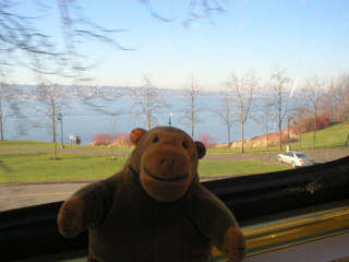 Mr Monkey looking at Lake Washington from the train