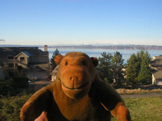 Mr Monkey looking across Lake Washington