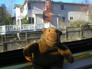 Mr Monkey looking at lakeside houses