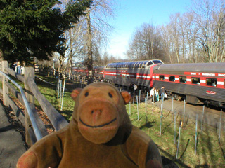 Mr Monkey looking down on the Spirit of Washington dinner train