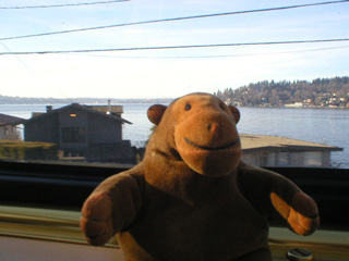 Mr Monkey looking at Lake Washington and Mercer Island