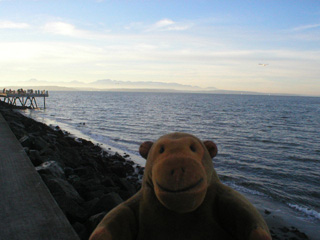 Mr Monkey looking at waves breaking on the edge of Seacrest Park