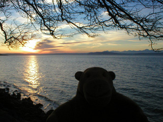 Mr Monkey looking the sun setting into the sea