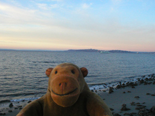 Mr Monkey watching a ferry in the Sound