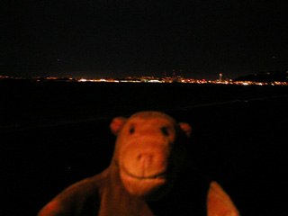 Mr Monkey looking across the bay at Seattle in the dark