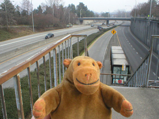 Mr Monkey looking looking down on the SR250 Ramp bus stop
