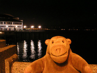 Mr Monkey looking toward the Seattle Aquarium