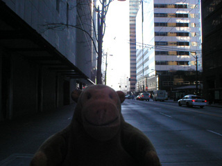 Mr Monkey looking down Third Avenue