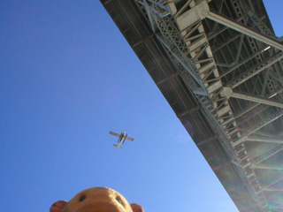 Mr Monkey looking up at a floatplane