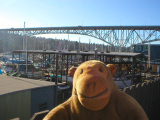 Mr Monkey looking at the Aurora Bridge from North Northlake Way