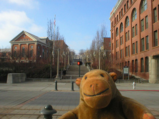 Mr Monkey looking at the UWT Campus