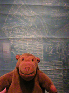 Mr Monkey looking at a land allotment map