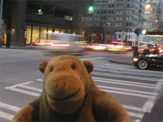 Mr Monkey watching cars in Seattle