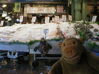 Mr Monkey looking at the Pike Place Fish Market
