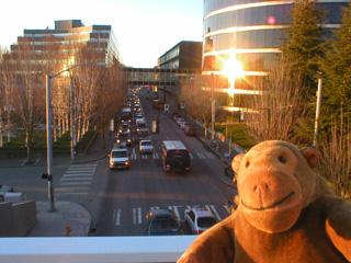 Mr Monkey looking down on Elliot Way