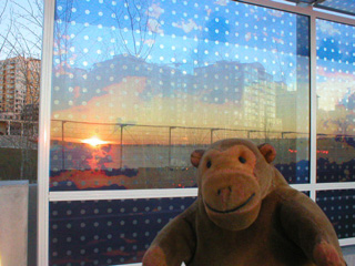 Mr Monkey looking at Teresita Fernandez's Seattle Cloud Cover