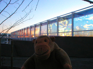 Mr Monkey looking at Seattle Cloud Cover from behind