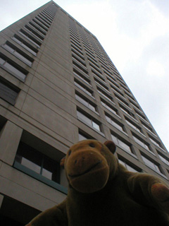 Mr Monkey looking up at his hotel
