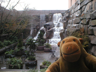 Mr Monkey looking at the water falling in Waterfall Garden Park