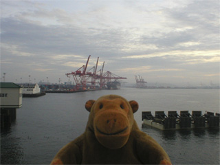 Mr Monkey looking at the Port of Seattle