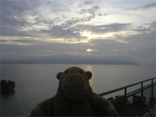 Mr Monkey looking towards West Seattle