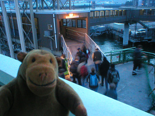 Mr Monkey watching passengers walking off the ferry