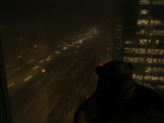 Mr Monkey looking at early morning fog from his hotel room