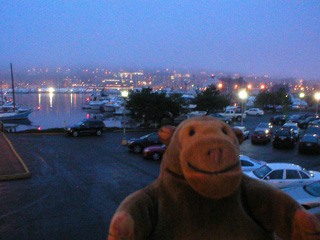 Mr Monkey looking at Lake Union shrouded in fog