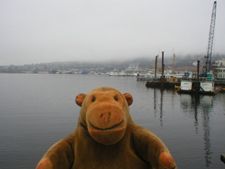 Mr Monkey looking at fog around Lake Union