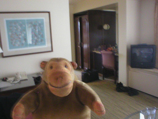 Mr Monkey looking around his hotel room