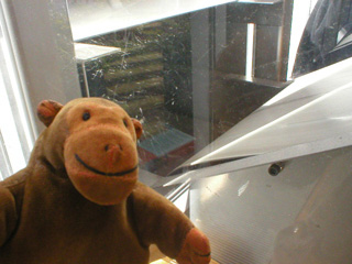 Mr Monkey watching books being deposited into the automatic return system