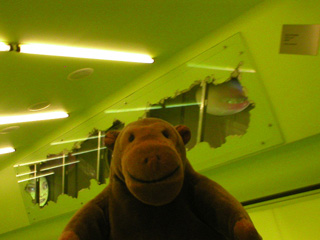 Mr Monkey on the escalator up to level 5
