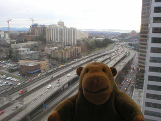 Mr Monkey looking out of his hotel window for the last time