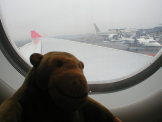 Mr Monkey looking out of his plane window at SEA-TAC airport