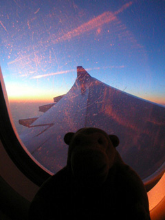Mr Monkey watching light from the rising sun on his plane