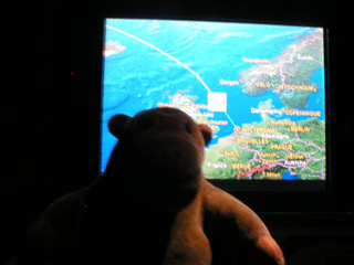 Mr Monkey tracking his flight on the electronic map