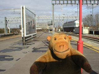 Mr Monkey waiting for his train at Stockport