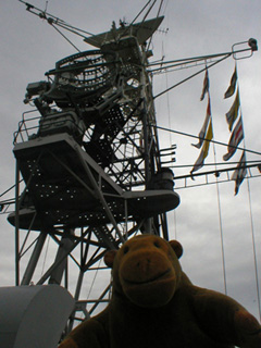 Mr Monkey looking at the foremast