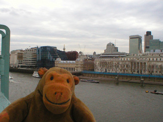Mr Monkey looking at the Monument from the gun direction tower