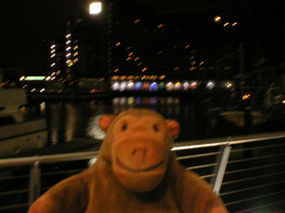 Mr Monkey walking around St Katherine's Dock at night